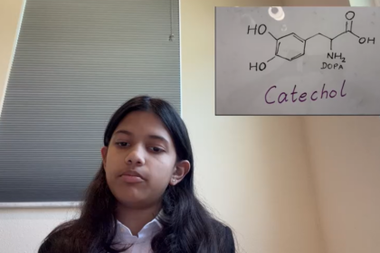 À 12 ans, une élève de Floride invente une colle écologique inspirée des moules marines