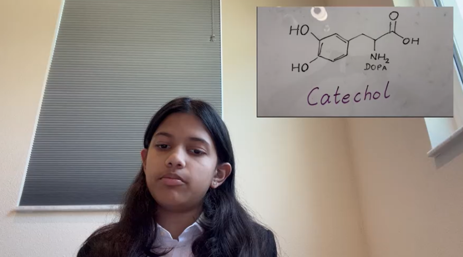 À 12 ans, une élève de Floride invente une colle écologique inspirée des moules marines