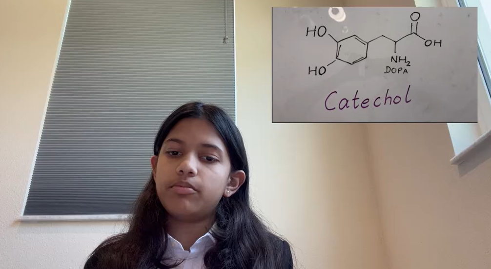 À 12 ans, une élève de Floride invente une colle écologique inspirée des moules marines