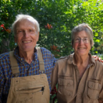 Depuis 2007, une habitante du Colorado a distribué gratuitement plus de 12 000 arbres.