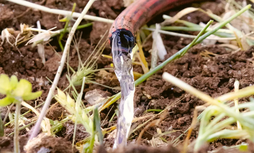 Une innovation française transforme les eaux usées des touristes en ressource agricole