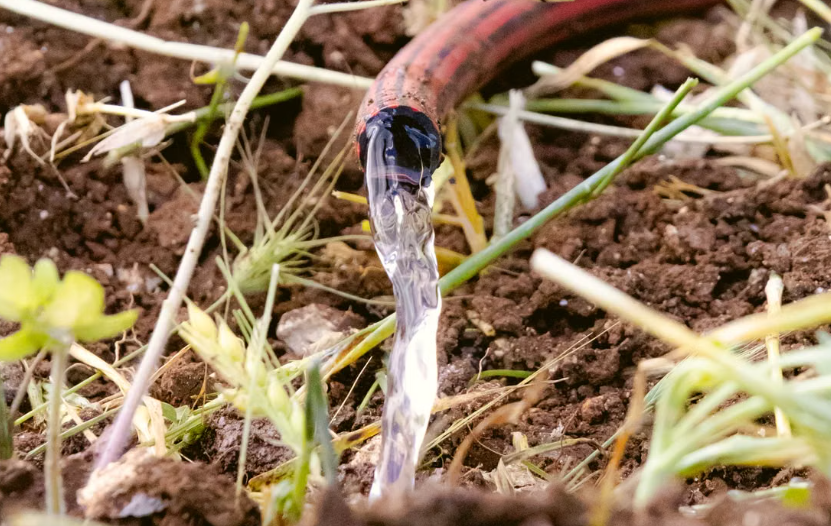 Une innovation française transforme les eaux usées des touristes en ressource agricole