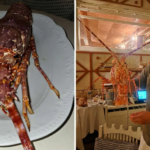 Stéphane Lamart a dépensé 300 € pour sauver une langouste vivante et la relâcher en Méditerranée.