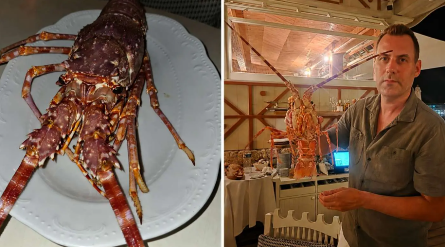 Stéphane Lamart a dépensé 300 € pour sauver une langouste vivante et la relâcher en Méditerranée.