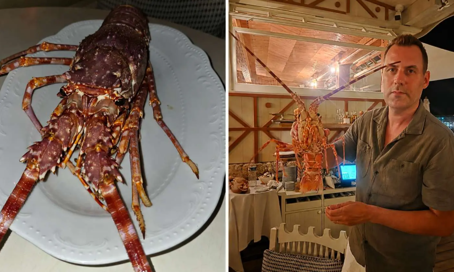 Stéphane Lamart a dépensé 300 € pour sauver une langouste vivante et la relâcher en Méditerranée.