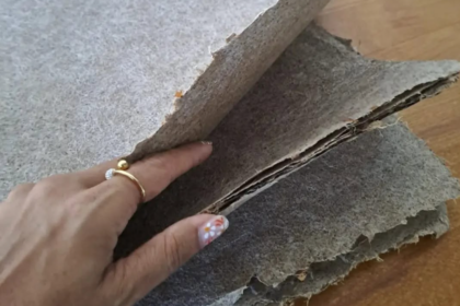Les fibres de bananier deviennent des sacs en papier grâce à une entreprise guadeloupéenne