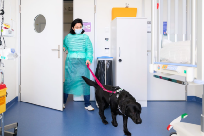 Au CHUV de Lausanne, des chiens spécialement formés apportent réconfort et sérénité aux enfants atteints de cancer