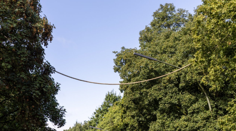 À Neuss, un pont en corde de chanvre aide les écureuils à traverser une route en toute sécurité.