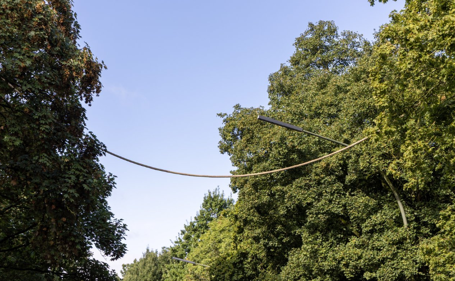 À Neuss, un pont en corde de chanvre aide les écureuils à traverser une route en toute sécurité.