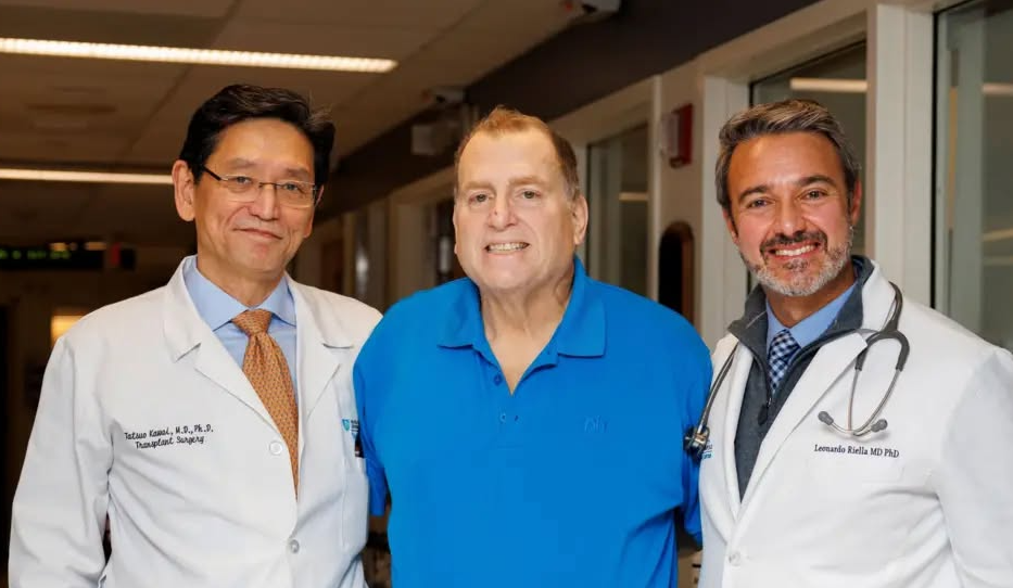 Un rein de porc génétiquement modifié a permis à un patient de vivre neuf mois sans dialyse