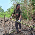 un agriculteur mobilise son village pour restaurer les mangroves