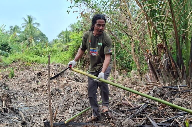 un agriculteur mobilise son village pour restaurer les mangroves