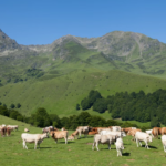 Le Parc naturel régional Comminges Barousse Pyrénées devient le 60e Parc naturel régional de France