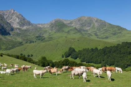 Le Parc naturel régional Comminges Barousse Pyrénées devient le 60e Parc naturel régional de France