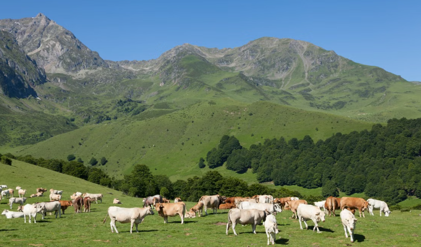 Le Parc naturel régional Comminges Barousse Pyrénées devient le 60e Parc naturel régional de France