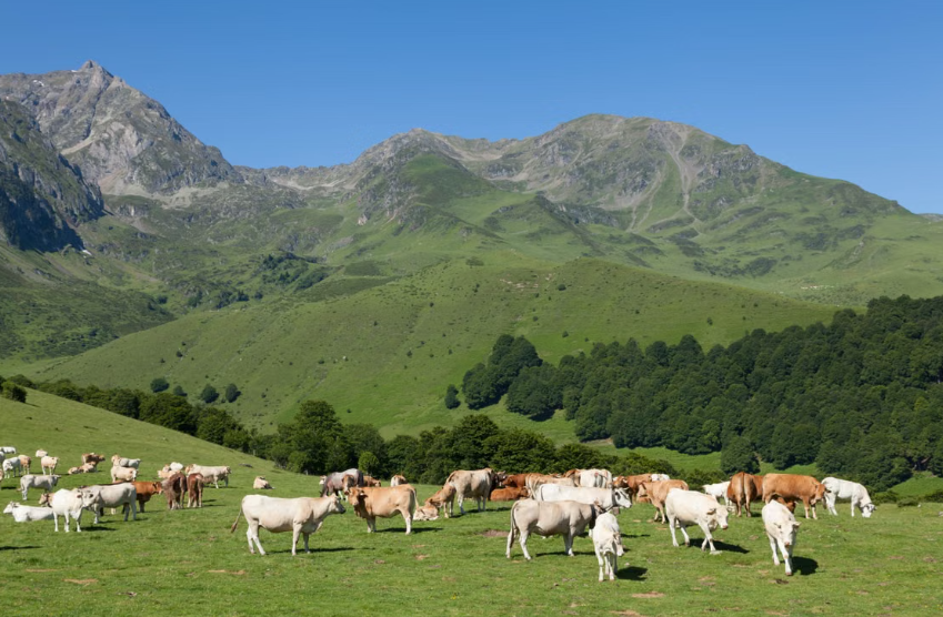 Le Parc naturel régional Comminges Barousse Pyrénées devient le 60e Parc naturel régional de France