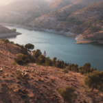 En Jordanie, la restauration de 180 hectares de pâturages a permis le retour de plus de 600 espèces végétales