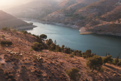 En Jordanie, la restauration de 180 hectares de pâturages a permis le retour de plus de 600 espèces végétales