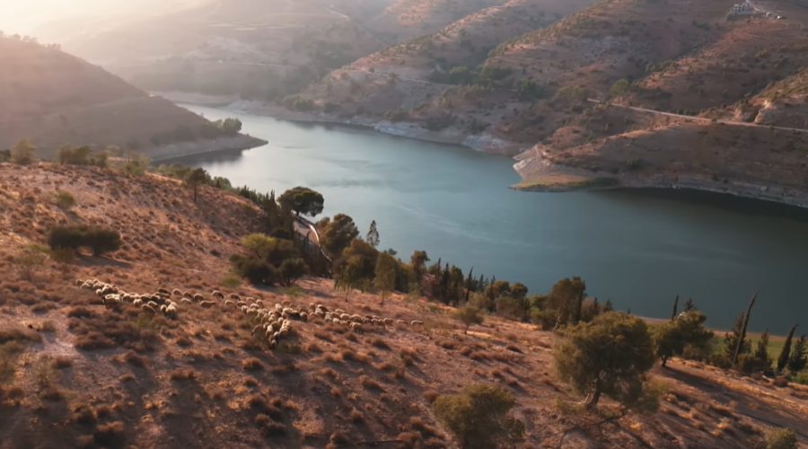 En Jordanie, la restauration de 180 hectares de pâturages a permis le retour de plus de 600 espèces végétales
