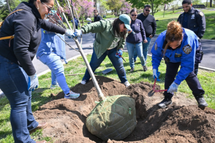 New York a planté 18 261 arbres en 2026, un record depuis dix ans.