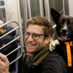À New York, un influenceur aide 10 chiens sur 11 à trouver une famille grâce à ses vidéos
