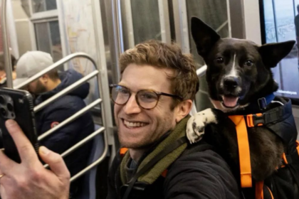 À New York, un influenceur aide 10 chiens sur 11 à trouver une famille grâce à ses vidéos