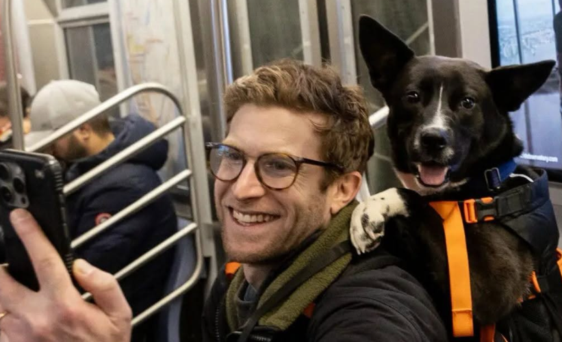 À New York, un influenceur aide 10 chiens sur 11 à trouver une famille grâce à ses vidéos
