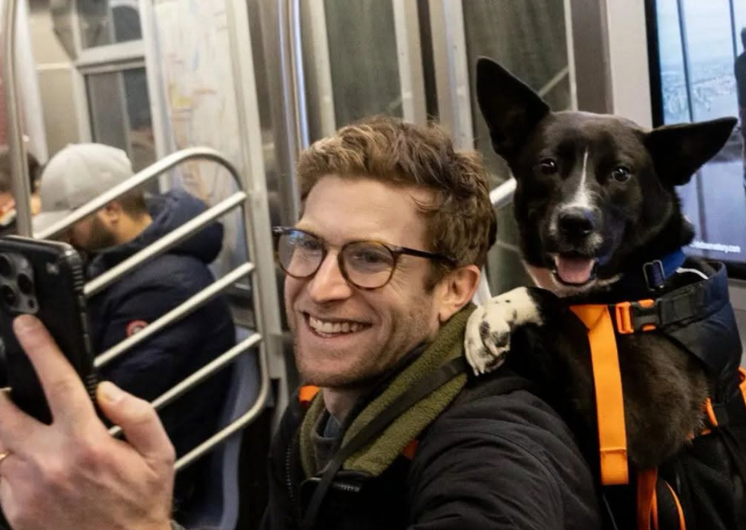 À New York, un influenceur aide 10 chiens sur 11 à trouver une famille grâce à ses vidéos