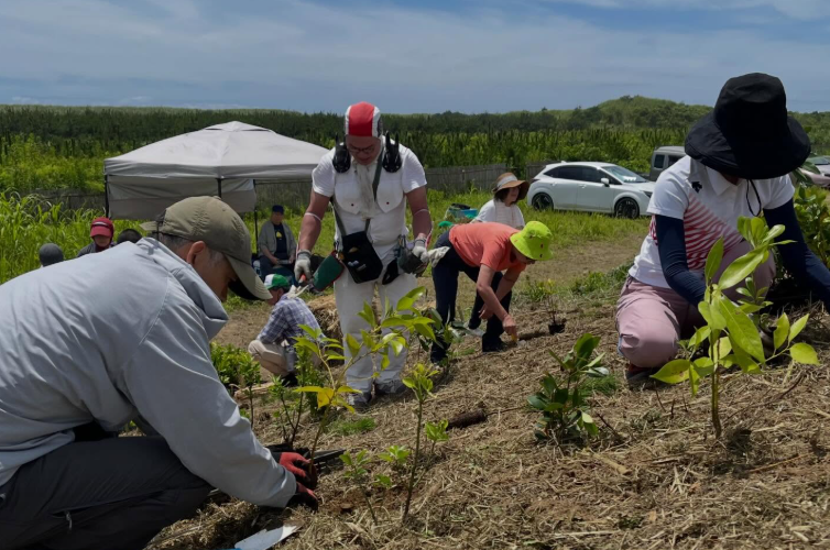 Plus de 680 000 arbres plantés pour renforcer la protection des côtes japonaises