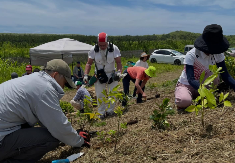 Plus de 680 000 arbres plantés pour renforcer la protection des côtes japonaises