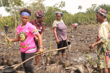 Plus de 400 femmes formées pour reconstruire les forêts côtières du Nigeria