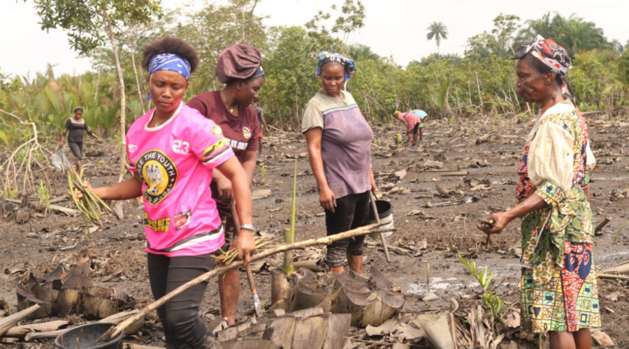 Plus de 400 femmes formées pour reconstruire les forêts côtières du Nigeria