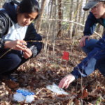Un champignon forestier du Kentucky révèle une stratégie naturelle inédite contre les insectes