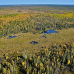 Dans le parc national Wood Buffalo, les castors ont construit un barrage exceptionnel.