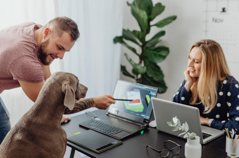 Dans les Alpes-Maritimes, Mougins autorise certains employés municipaux à travailler avec leur chien