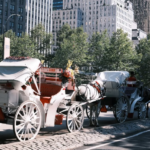 New York prévoit d’interdire les promenades en calèche à Central Park d’ici 2028.