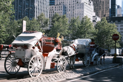 New York prévoit d’interdire les promenades en calèche à Central Park d’ici 2028.