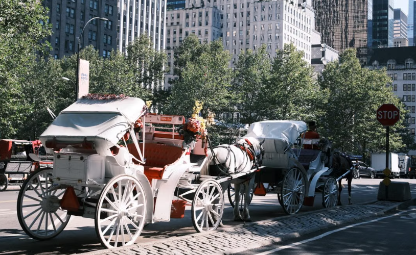 New York prévoit d’interdire les promenades en calèche à Central Park d’ici 2028.