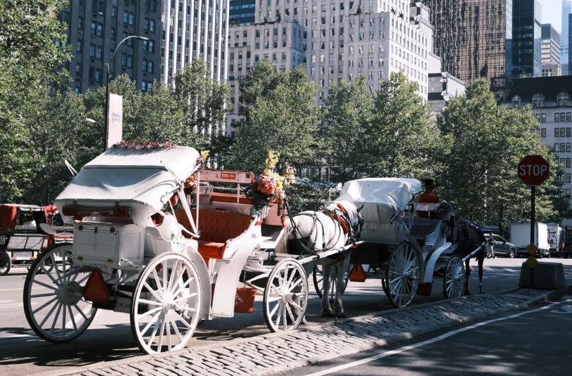 New York prévoit d’interdire les promenades en calèche à Central Park d’ici 2028.