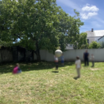 À Port-Saint-Père, 70 personnes se mobilisent pour sauver un noyer de plus de 70 ans.