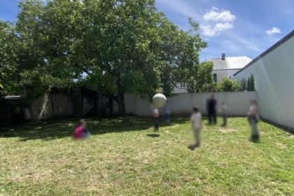 À Port-Saint-Père, 70 personnes se mobilisent pour sauver un noyer de plus de 70 ans.