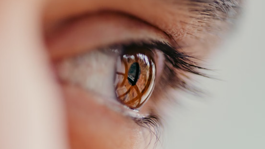 Des chercheurs restaurent une partie de la vision grâce à la lumière et à la thérapie génique