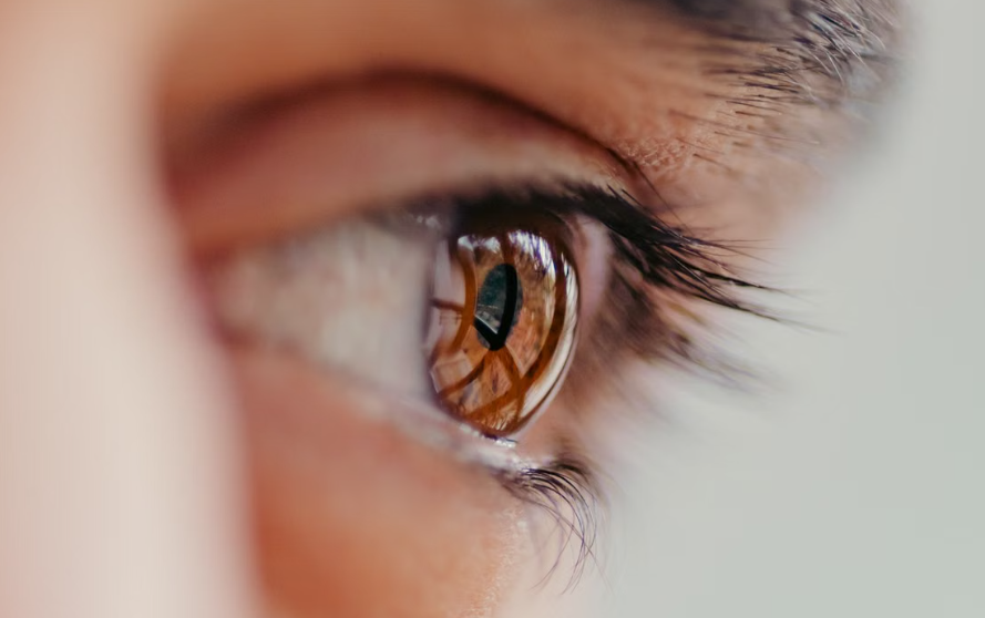 Des chercheurs restaurent une partie de la vision grâce à la lumière et à la thérapie génique