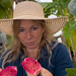 Dans le Var, Isabelle Pertois transforme son exploitation bio en ferme de fruits tropicaux