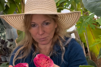 Dans le Var, Isabelle Pertois transforme son exploitation bio en ferme de fruits tropicaux