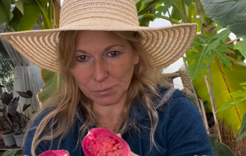 Dans le Var, Isabelle Pertois transforme son exploitation bio en ferme de fruits tropicaux