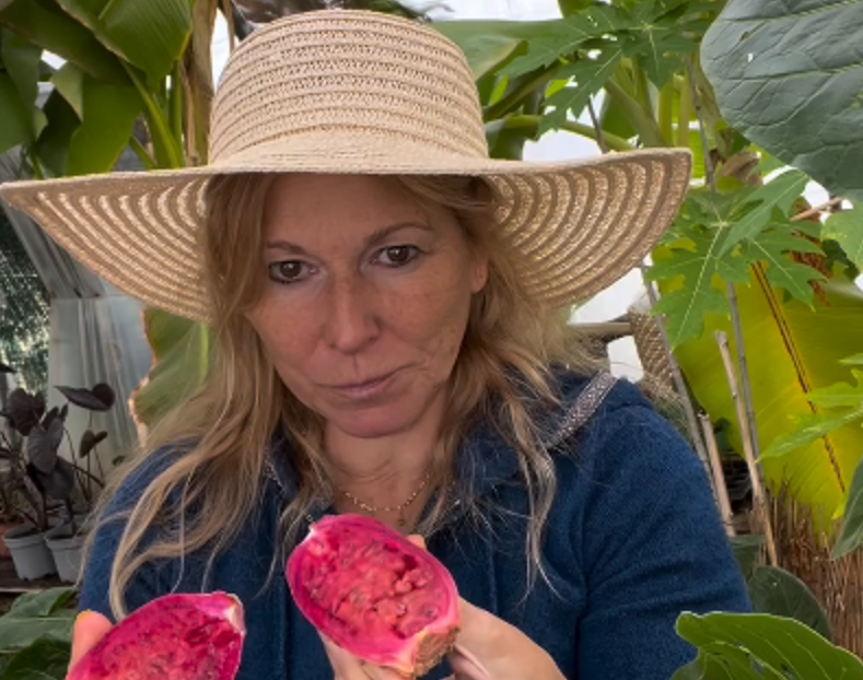 Dans le Var, Isabelle Pertois transforme son exploitation bio en ferme de fruits tropicaux