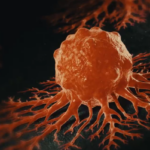 Cancer du pancréas : l’Agence européenne des médicaments recommande le Rasonque