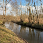 L’Aronde renoue avec son tracé historique dans l’Oise.